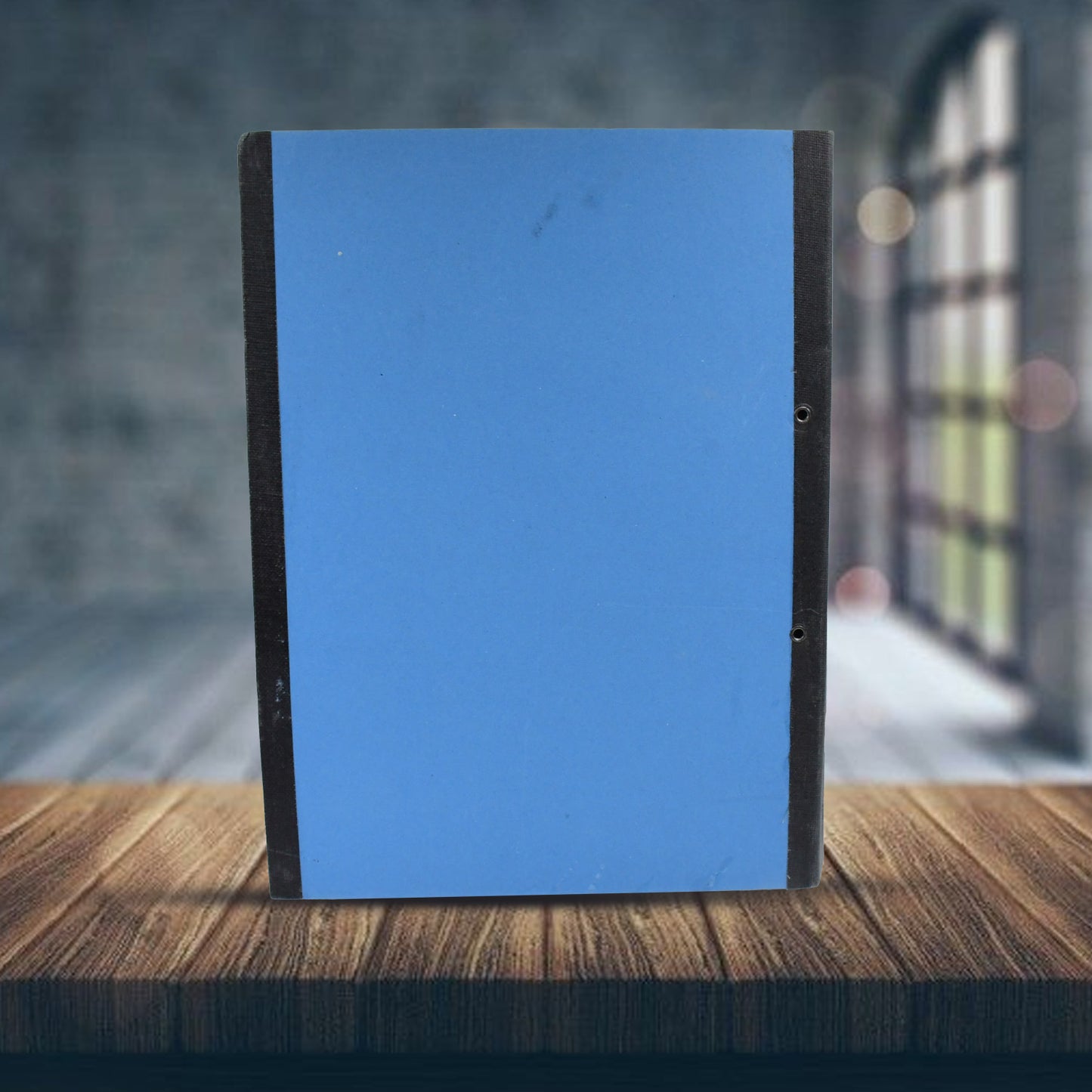 Standard File Plastic Clip File Folder Paper Holder Documents File (3526 Cm 1 Pc)