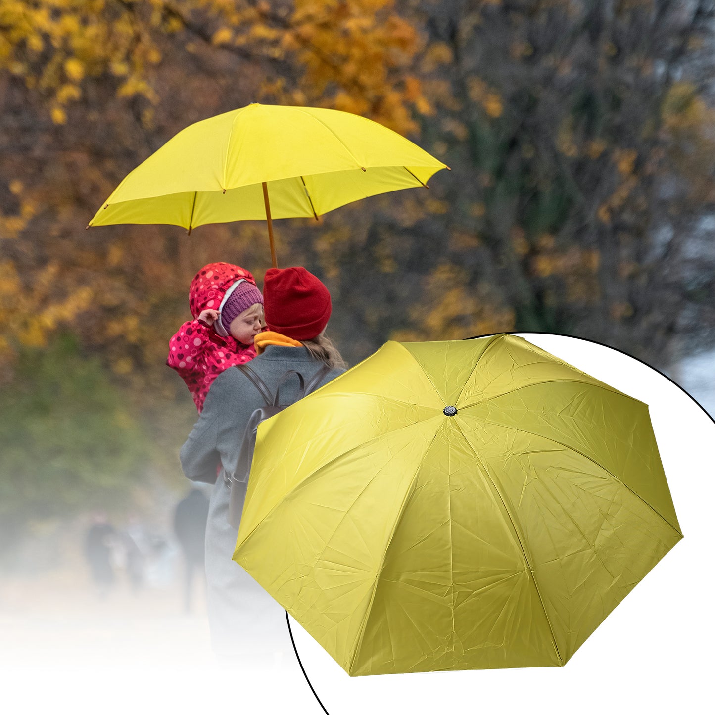 Folding Umbrella Vegetable Shaped plastic Case