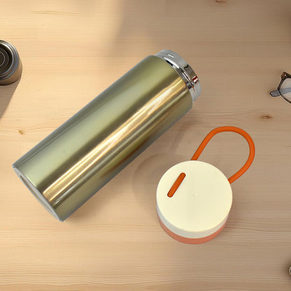 Stainless Steel Vacuum Insulated Water Bottle (300ml)