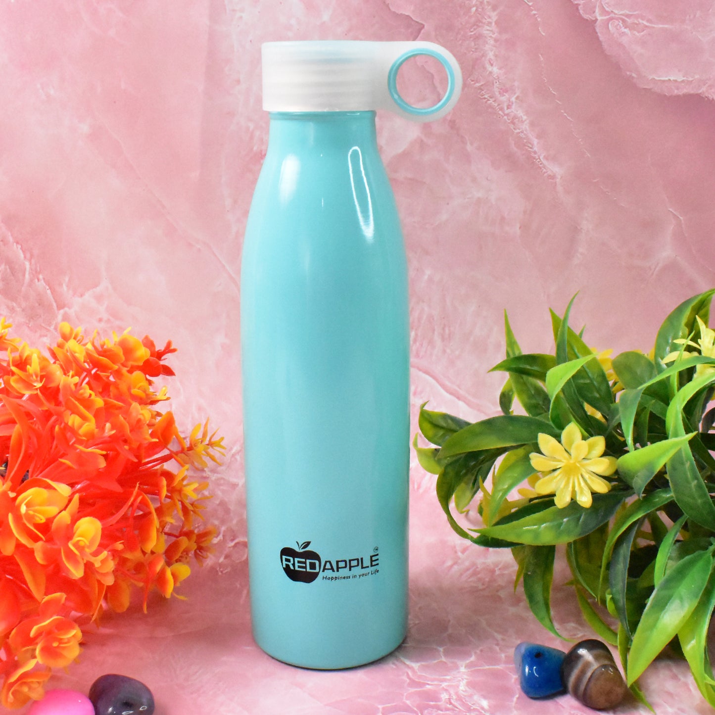 Stainless Steel Water Bottle (750 Ml  1 Pc)