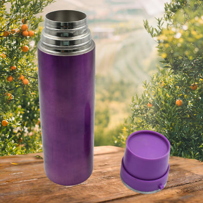 Stainless Steel Water Bottle Leak Proof (500 Ml)