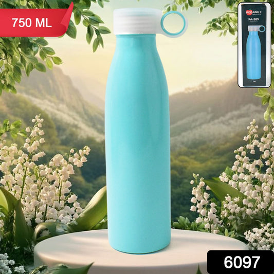 Stainless Steel Water Bottle (750 Ml  1 Pc)