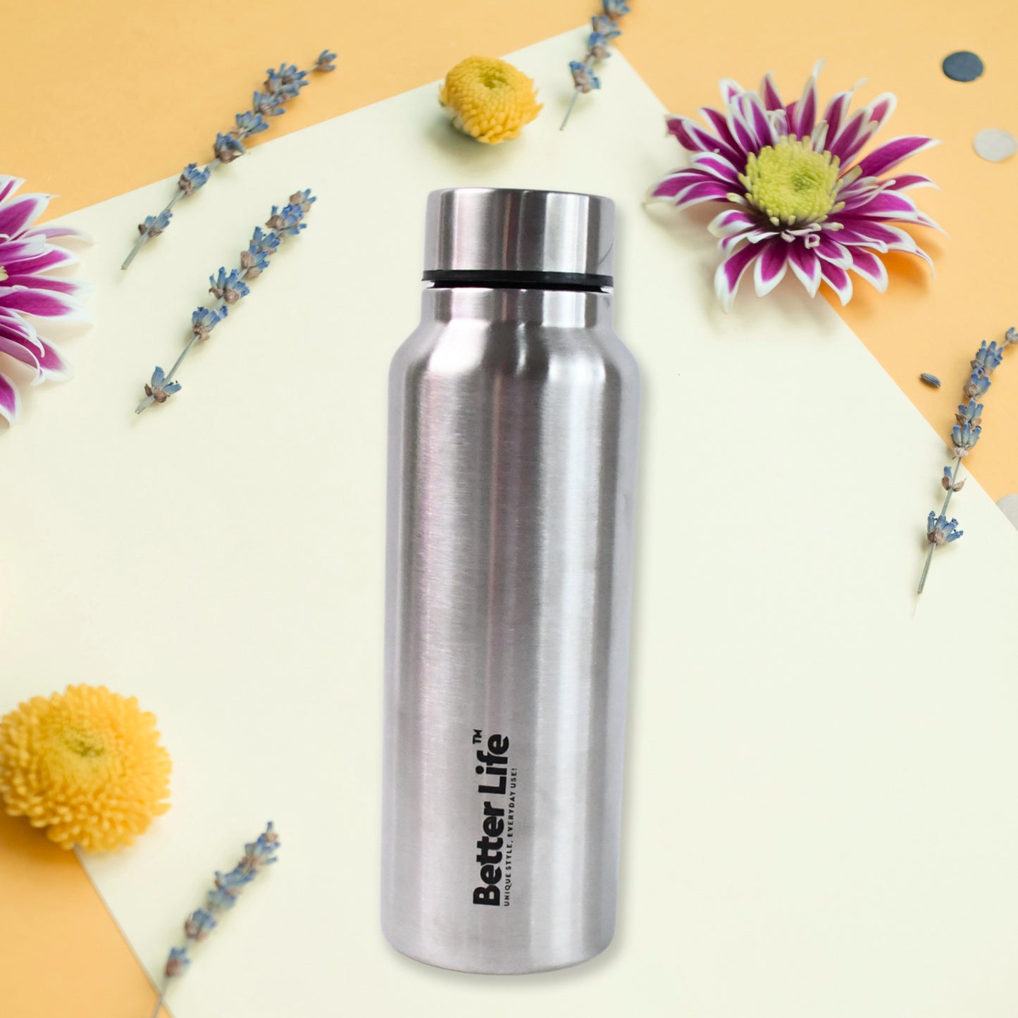 Stainless Steel Double Wall Vacuum-insulated Water Bottle (750 Ml)