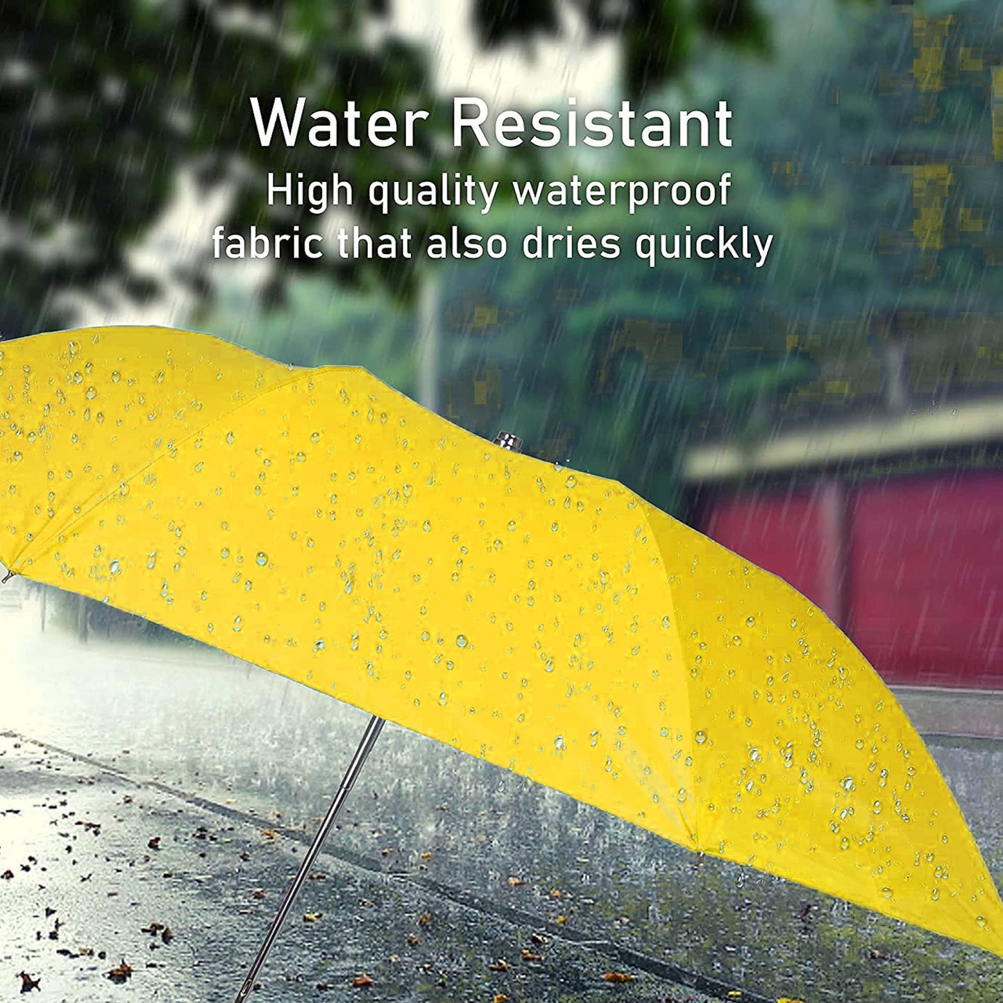Folding Umbrella Vegetable Shaped plastic Case