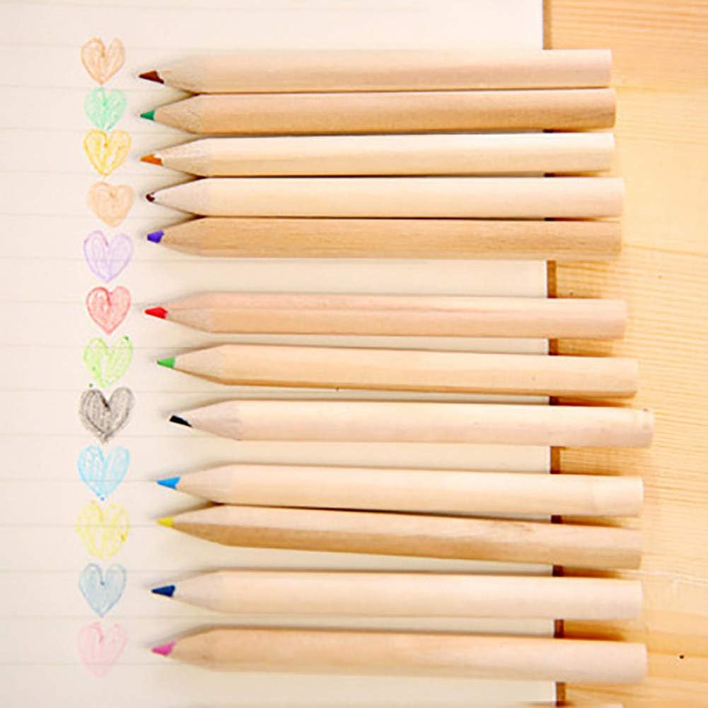 Artist Colouring Pencils Set with Sharpener