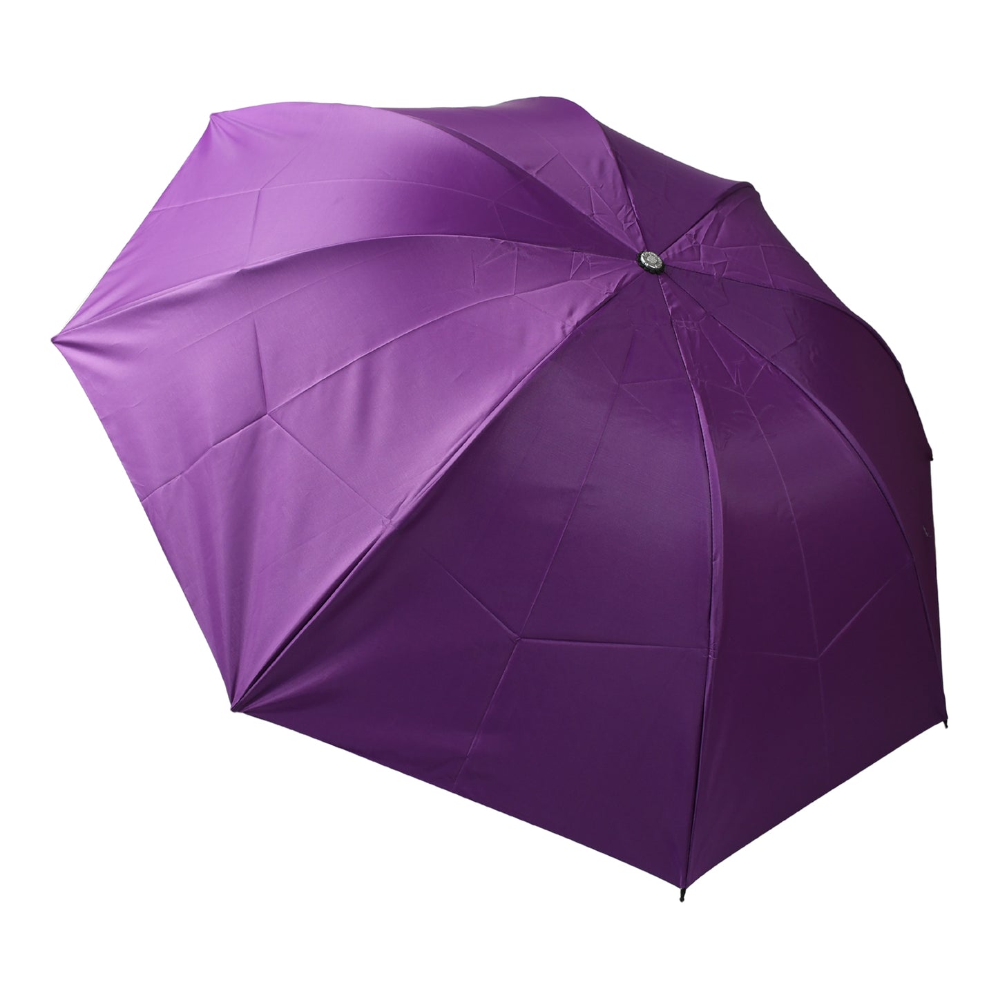 Vegetable Shaped Folding Umbrella Plastic Case
